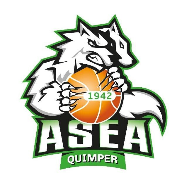 Asea basket Quimper